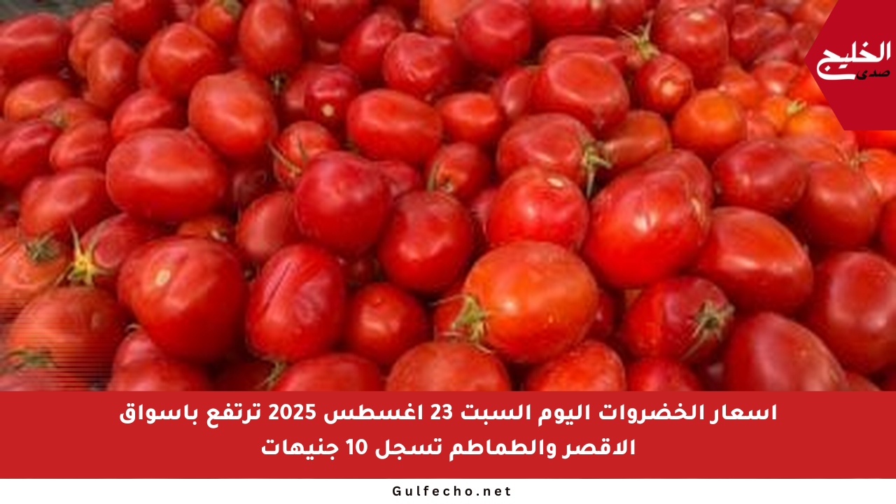 أسعار الخضروات اليوم السبت 23 أغسطس 2025 ترتفع بأسواق الأقصر والطماطم تسجل 10 جنيهات